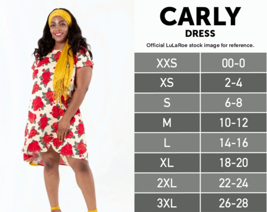 LuLaRoe Carly - Black Background Red and Green Flowers