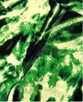 Leggings - Black Green Tie Dye