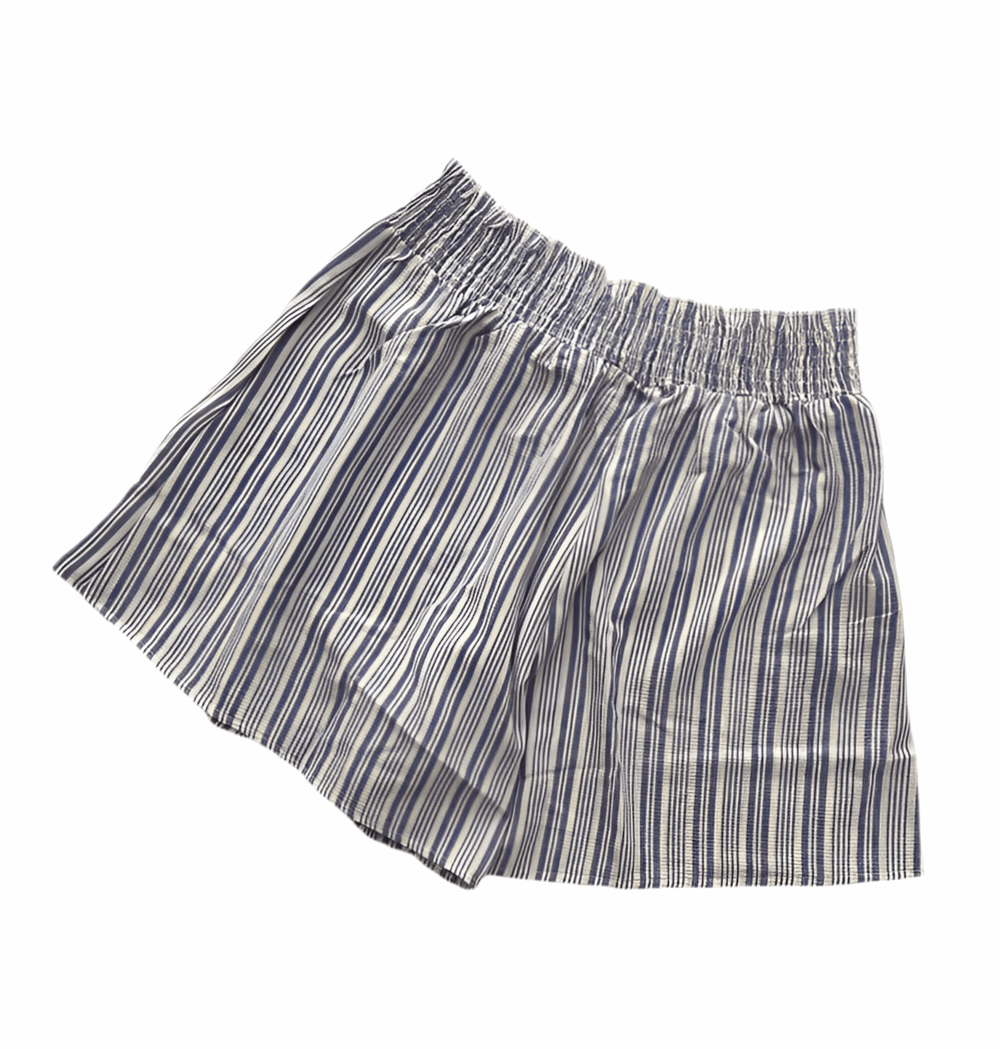 Yvett - Blue Ivory Vertical Variegated Stripe