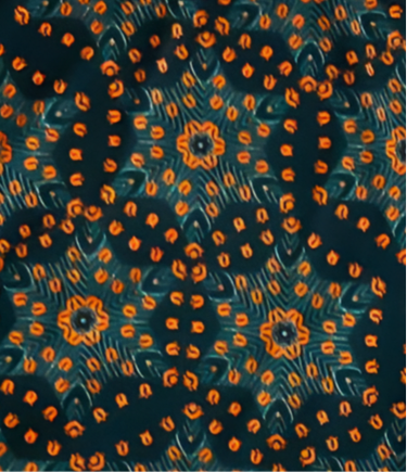 Cassie Pencil Skirt - Orange Blue Floral