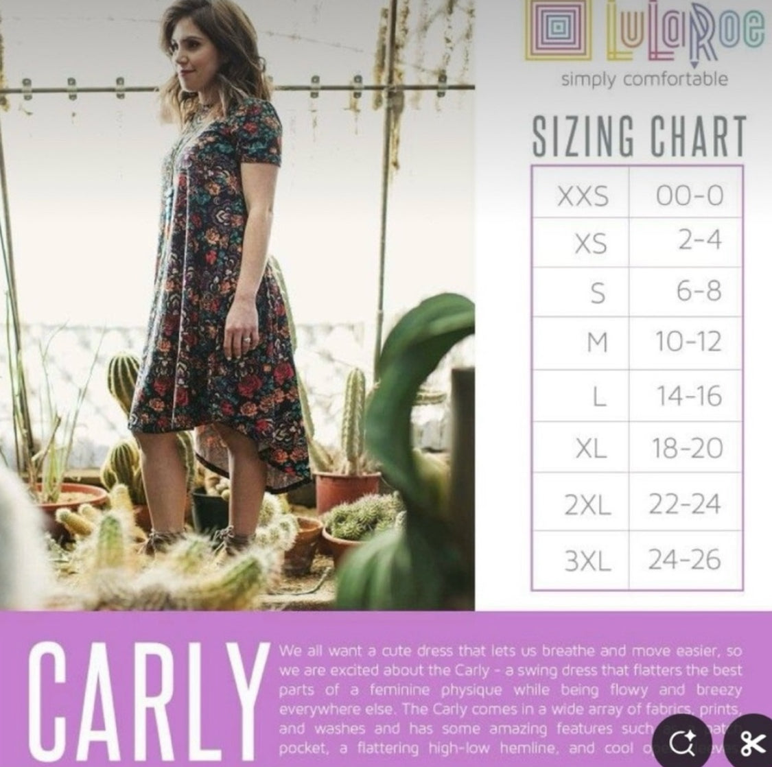 LuLaRoe Carly - Black with Red and Green Flowers